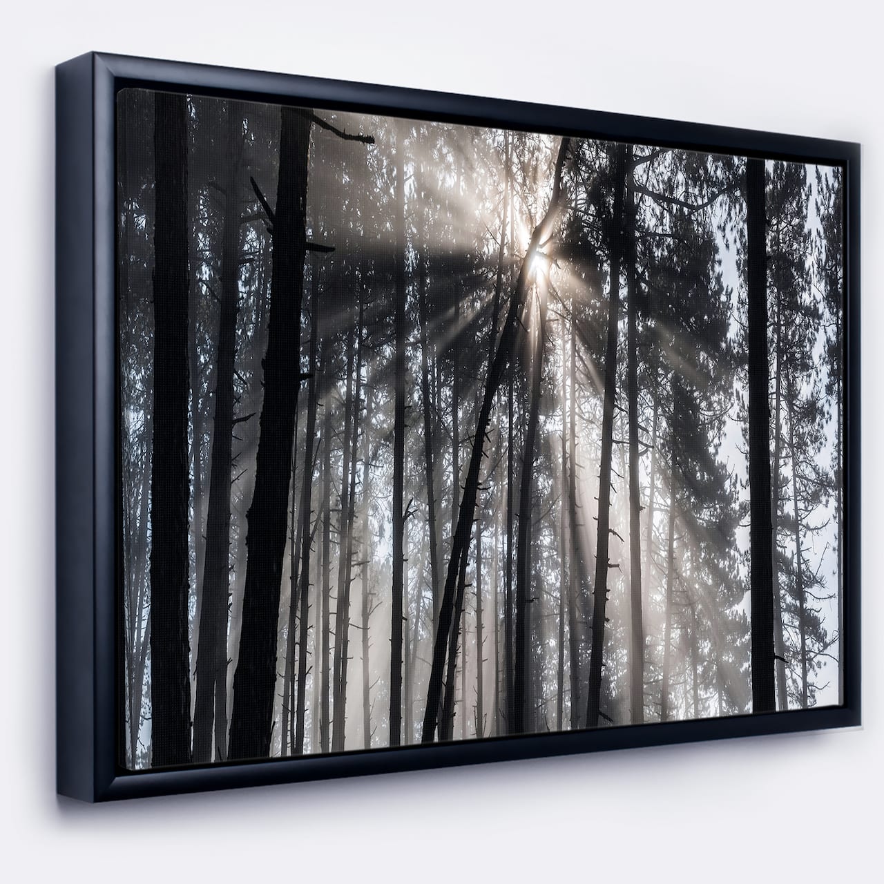 Designart - Sunbeams through Black White Forest - Forest Framed Canvas Wall Art Print